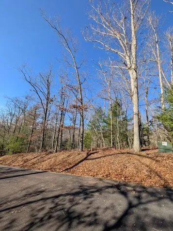 Lot 31 Tower Falls Lane Hayesville NC 28904