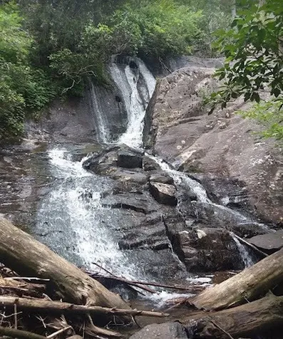 Lot 31 Tower Falls Lane Hayesville NC 28904