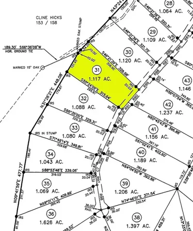 Lot 31 Tower Falls Lane Hayesville NC 28904