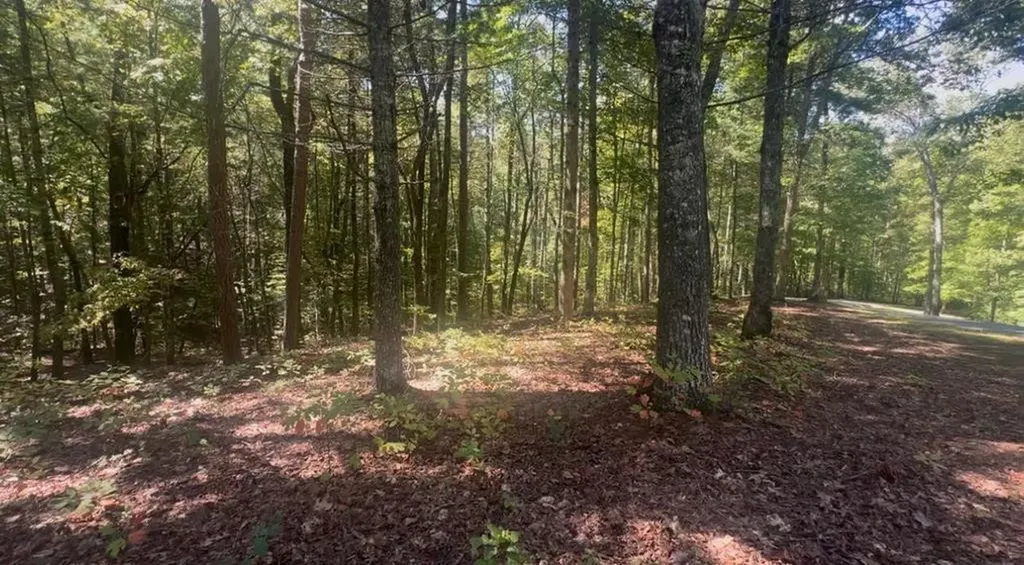 1.81 Ac Nature Valley Trail Murphy NC 28906