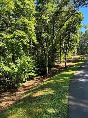 1.81 Ac Nature Valley Trail Murphy NC 28906