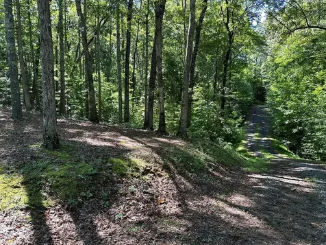 1.81 Ac Nature Valley Trail Murphy NC 28906