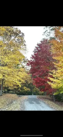 1.81 Ac Nature Valley Trail Murphy NC 28906