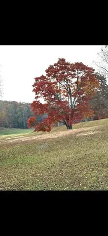 1.81 Ac Nature Valley Trail Murphy NC 28906