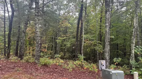 1.81 Ac Nature Valley Trail Murphy NC 28906