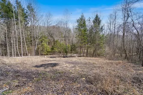 155 Ivy Knob Terrace Hayesville NC 28904