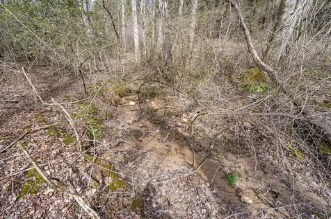 155 Ivy Knob Terrace Hayesville NC 28904