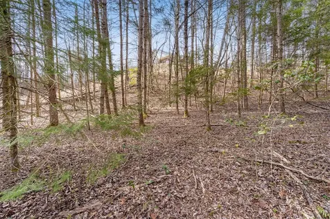 155 Ivy Knob Terrace Hayesville NC 28904