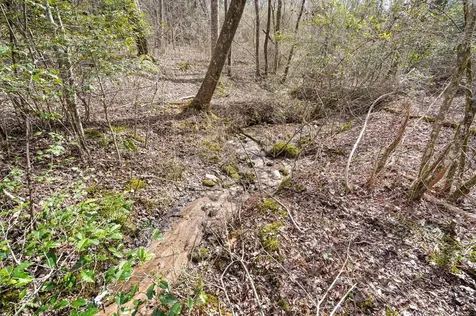 155 Ivy Knob Terrace Hayesville NC 28904