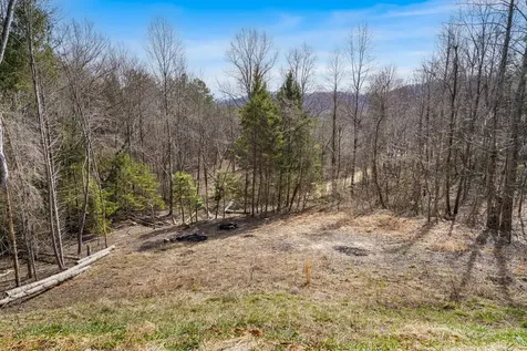 155 Ivy Knob Terrace Hayesville NC 28904