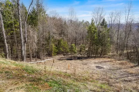 155 Ivy Knob Terrace Hayesville NC 28904