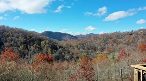 325 Azalea Ridge Topton NC 28781