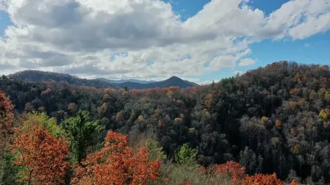 325 Azalea Ridge Topton NC 28781