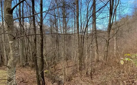 Lot M2 Georgianna Lane Bryson City NC 28713