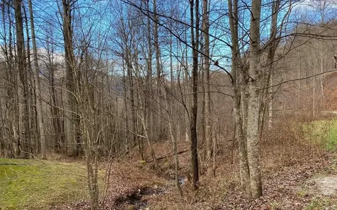 Lot M2 Georgianna Lane Bryson City NC 28713