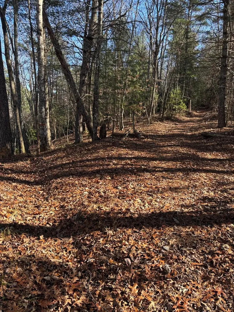 Lot 60 Thundering Hill Murphy NC 28906