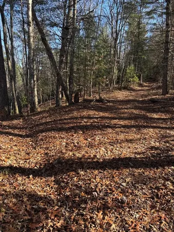 Lot 60 Thundering Hill Murphy NC 28906