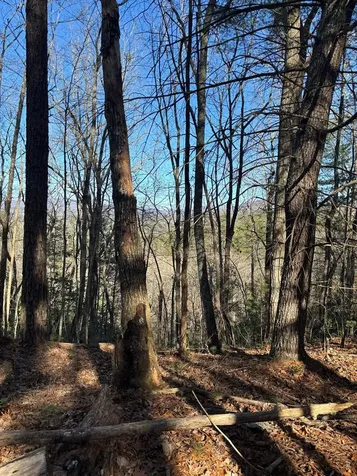 Lot 60 Thundering Hill Murphy NC 28906