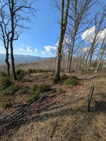 L-16&17 Summit Drive Hayesville NC 28904