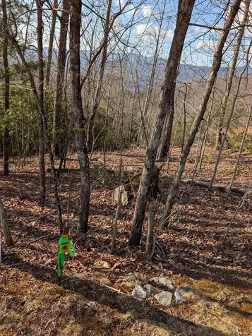 L-16&17 Summit Drive Hayesville NC 28904