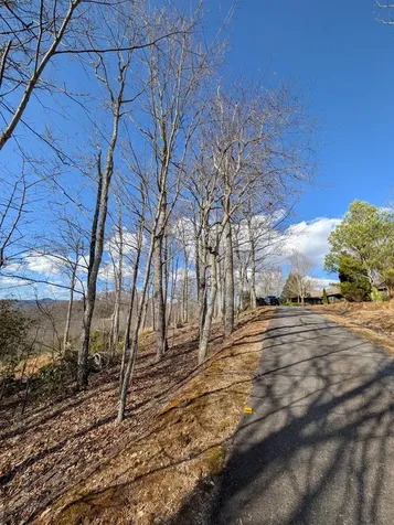L-16&17 Summit Drive Hayesville NC 28904