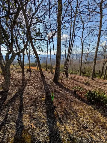 L-16&17 Summit Drive Hayesville NC 28904