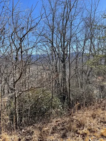 Lot #45J Knollwood Hayesville NC 28904