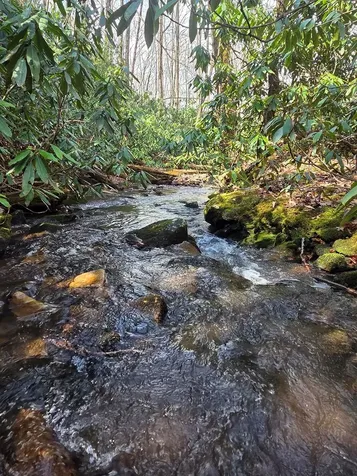 1104 Mill Creek Road Robbinsville NC 28771