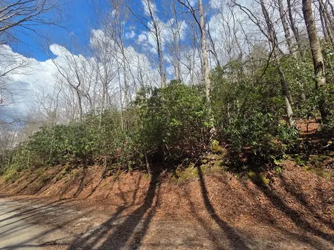 1104 Mill Creek Road Robbinsville NC 28771