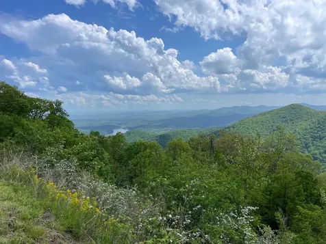 0 Burrell Mountain Road Murphy NC 28906