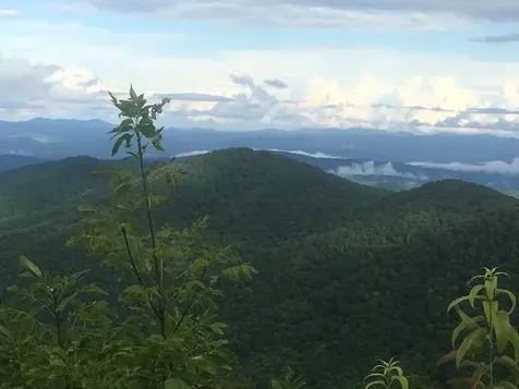 0 Burrell Mountain Road Murphy NC 28906