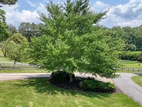 115 Dawsons Lane Murphy NC 28906