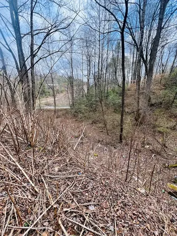 1659 Joe Brown Highway Murphy NC 28906