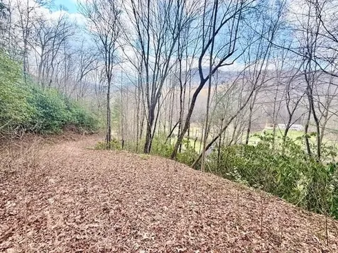 00 Beech Creek/ Little Hardwood Robbinsville NC 28771