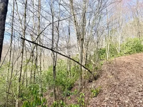 00 Beech Creek/ Little Hardwood Robbinsville NC 28771