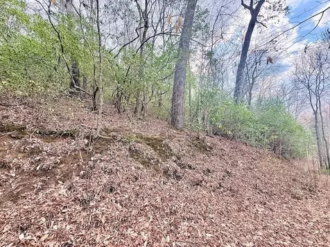 00 Beech Creek/ Little Hardwood Robbinsville NC 28771