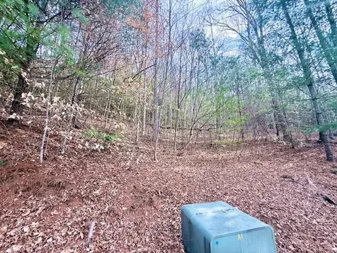 00 Beech Creek/ Little Hardwood Robbinsville NC 28771
