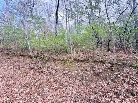 00 Beech Creek/ Little Hardwood Robbinsville NC 28771