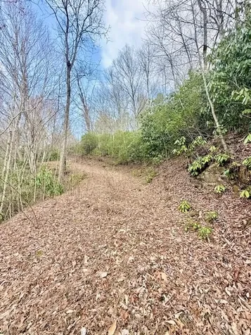 00 Beech Creek/ Little Hardwood Robbinsville NC 28771