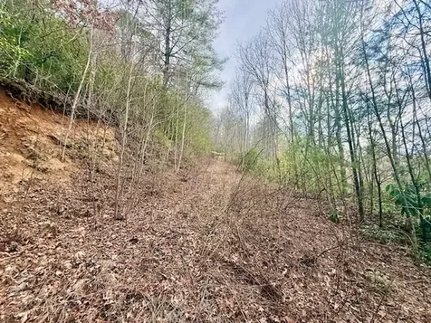 00 Beech Creek/ Little Hardwood Robbinsville NC 28771