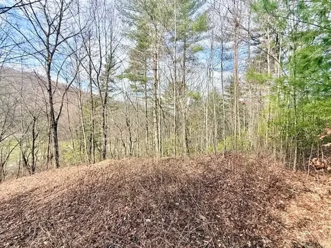 00 Beech Creek/ Little Hardwood Robbinsville NC 28771