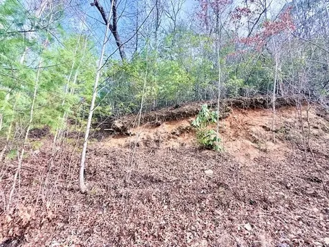 00 Beech Creek/ Little Hardwood Robbinsville NC 28771