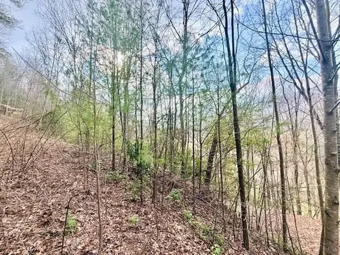 00 Beech Creek/ Little Hardwood Robbinsville NC 28771