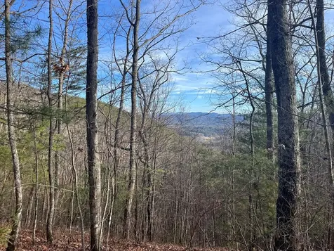 Lot 14 Patriot Ridge Murphy NC 28906