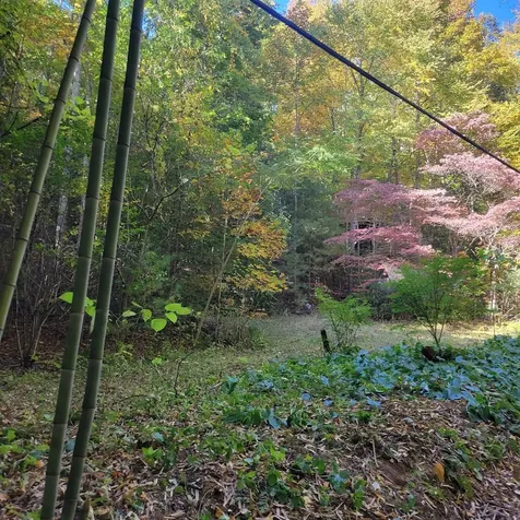3.38 Long Creek Robbinsville NC 28771