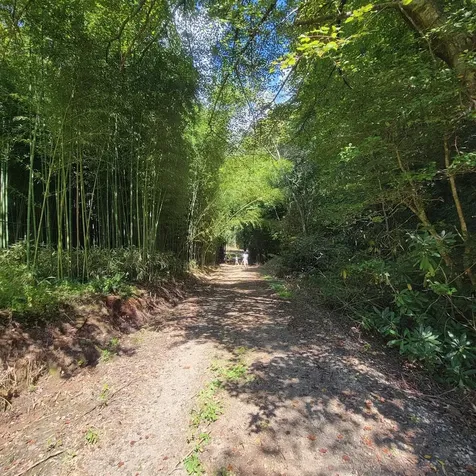 3.38 Long Creek Robbinsville NC 28771