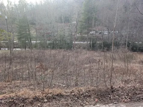 Lot 3 Riverview Robbinsville NC 28771