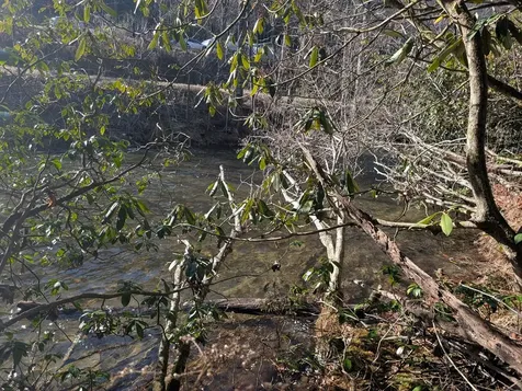 Lot 3 Riverview Robbinsville NC 28771