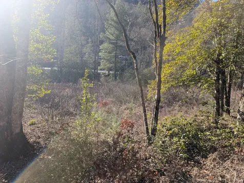 Lot 3 Riverview Robbinsville NC 28771