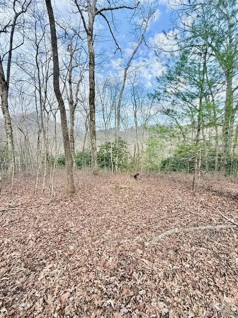 00 Pleasant View Robbinsville NC 28771